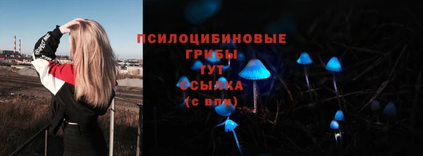 не бодяженный Алексин