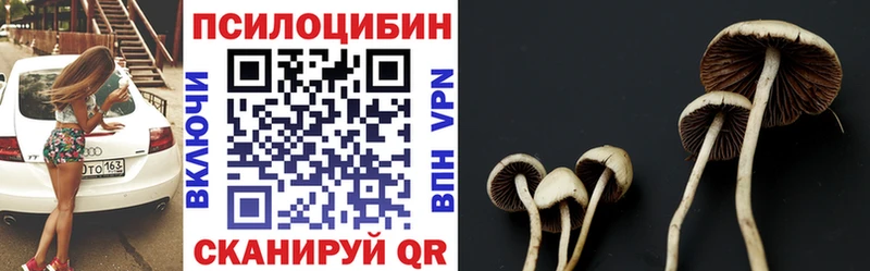 Псилоцибиновые грибы Psilocybine cubensis  Купить где  Новотитаровская 