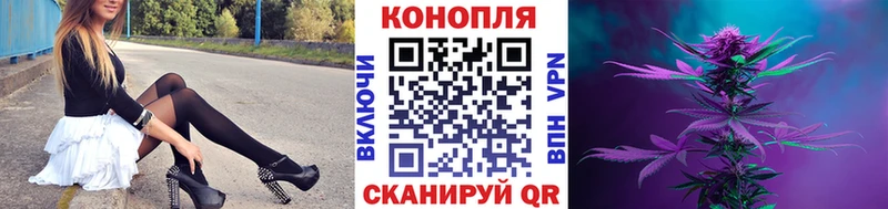 Купить где  Новотитаровская  Бошки Шишки семена 